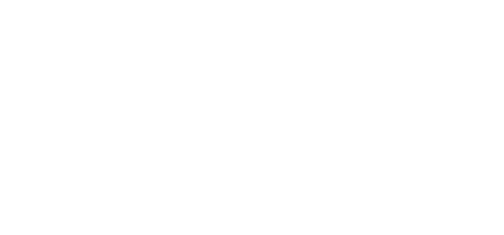 CHAR Stone Fired Pizza logo